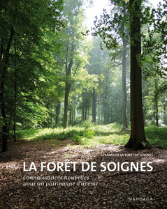 La forêt de Soignes
