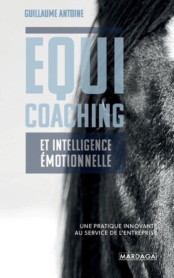 Equicoaching et intelligence émotionnelle