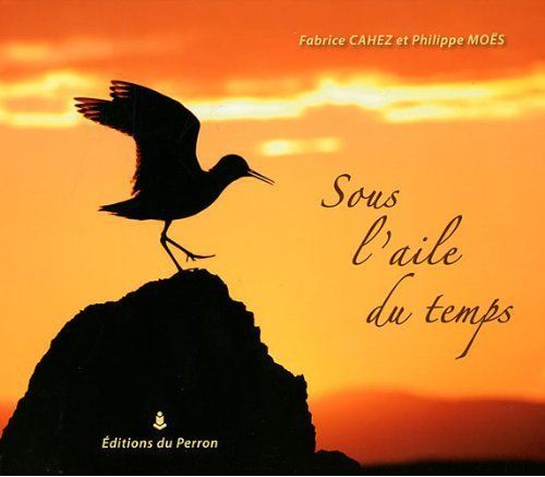 Sous l’aile du temps (Fabrice Cahez)