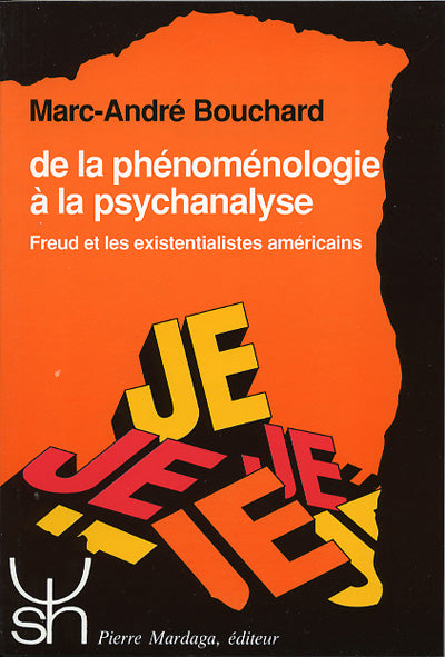 De la phénoménologie à la psychanalyse